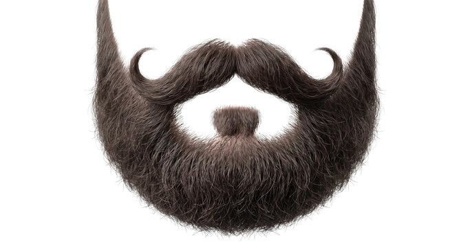 Thick brown beard with curled handlebar mustache set