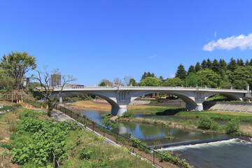 Fototapeta premium ゆったりと流れる広い川にかかる白いアーチ形の大きな橋、仙台市の仙台大橋と広瀬川