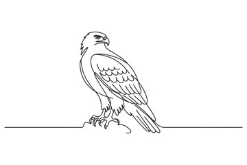 Fototapeta premium Single line sketch of a hawk standing on a rocky outcrop with wildlife continuous predator