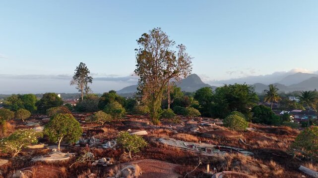 Aerial Drone View of Chinese Cemetery at Tangkak Malaysia