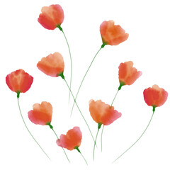 Obraz premium Abstract flowers, orange and pink, digital watercolor illustration