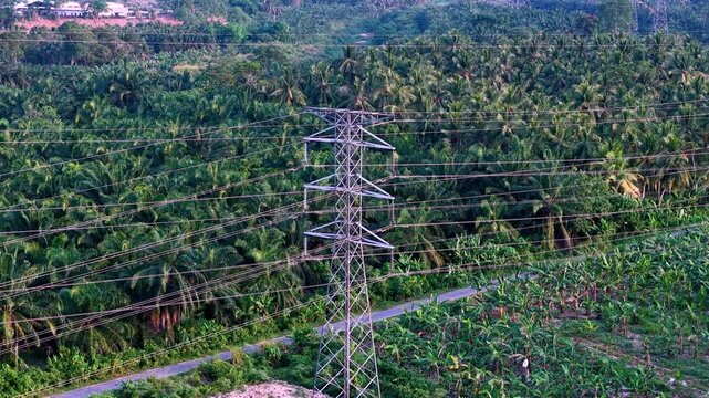 Tall steel towers stretch across green palm fields