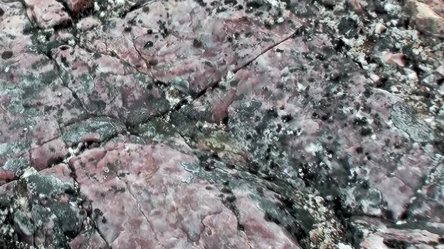 Glimpse ancient geological tapestry of Arctic Svalbard, Norway. Rugged rock surfaces display captivating patterns of ruddy and grey stone, etched by time and elemental forces in far northern realm.