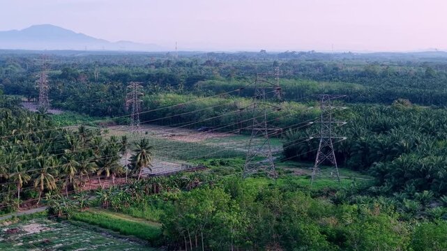 Power lines stretch across lush green fields