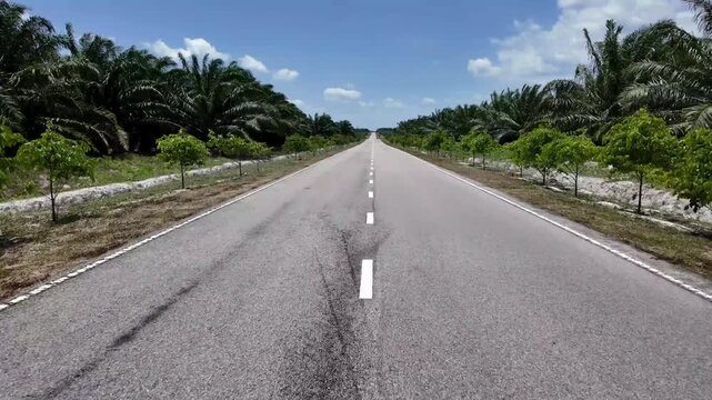 Ground Level POV Asphalt Road at Gunung Ledang
