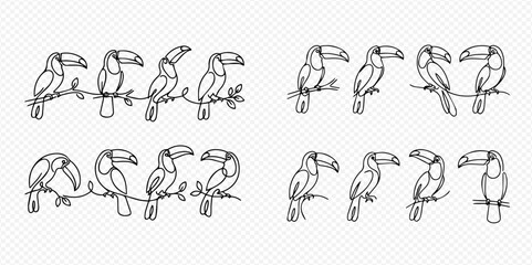 Naklejka premium Continuous line art drawing of toucans on branches, tropical birds in minimalist style, vector illustration set.