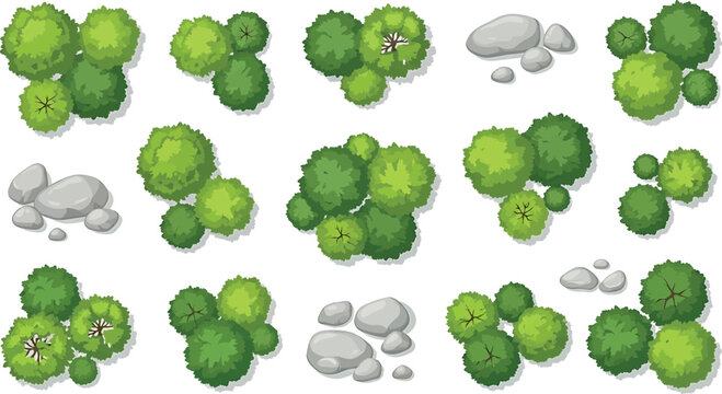 Set of top view trees and stones, landscape elements for map design, vector illustration isolated on white background