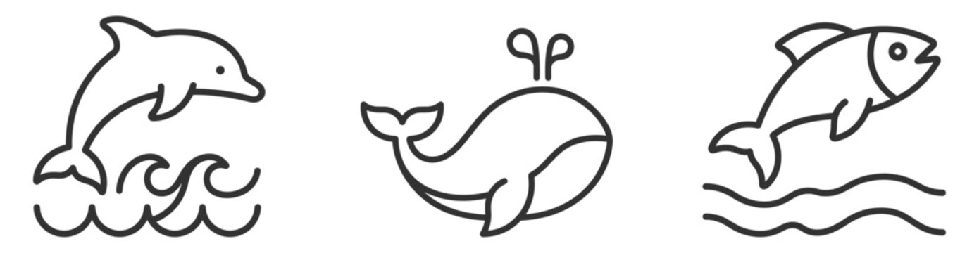 line art icons of dolphin jumping waves whale spouting water and fish jumping over water on transparent background