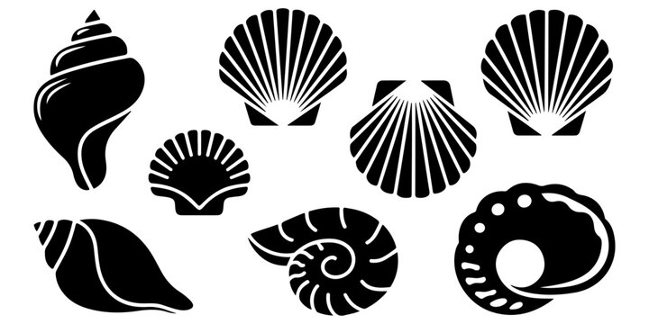 Marine seashell, scallop, oyster, clam and spiral shell black silhouette icon
