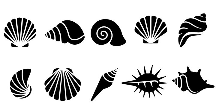 Marine seashell, scallop, oyster, clam and spiral shell black silhouette icon