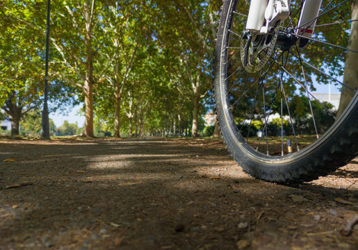Cyclist riding through a pleasant shaded area