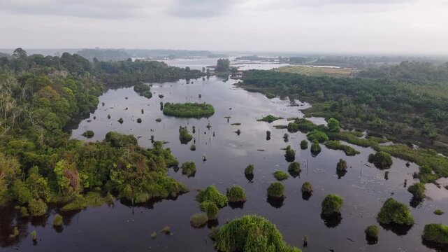 Panoramic shot of waterlogged jungle and reflective lake