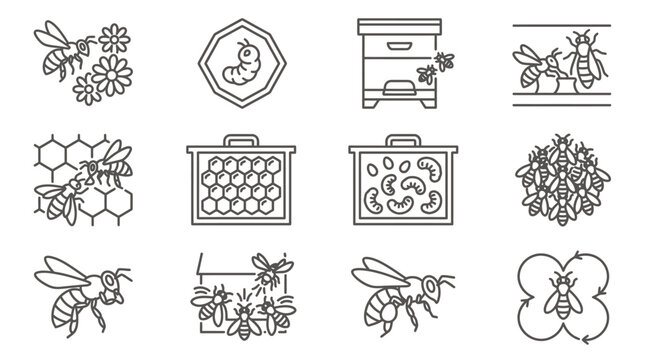 Apiculture icons including larvae and hive frames.