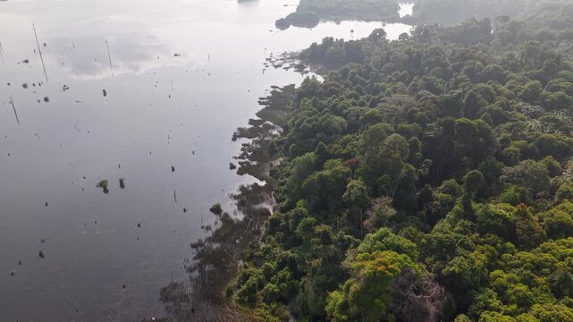Skyline of serene lake and misty forest from above