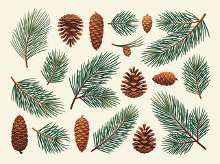 Naklejka premium Pine Cone and Evergreen Fir Branch Collection - Hand Drawn Style Winter Nature Elements for Holiday Design