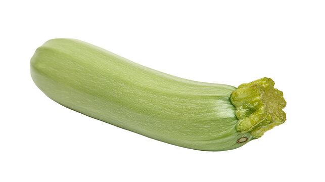 Pale green zucchini squash with textured skin and stem end