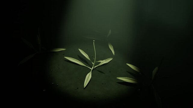 Spotlight shining, green seedling sprouting and elongating stem under overhead beam, with soil dust