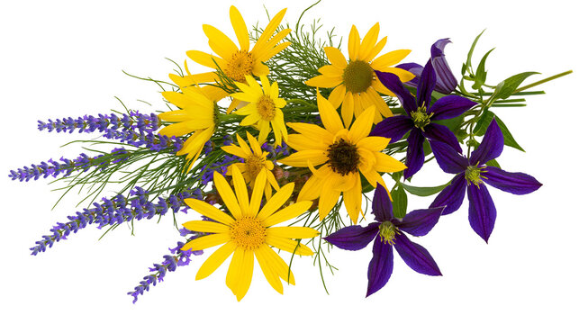 Yellow daisies and purple clematis flowers with lavender sprigs