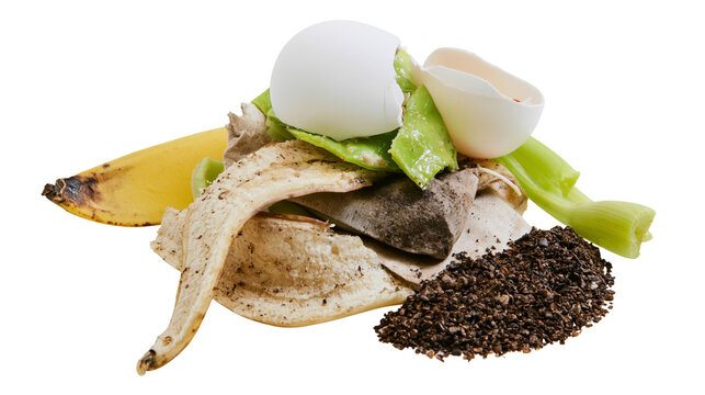 Organic kitchen waste pile with banana peel eggshells, and coffee grounds
