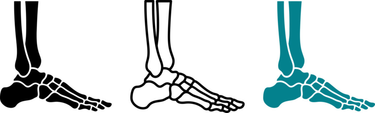 Foot_bones_silhouette_vector_icon_202606291631 (1).eps