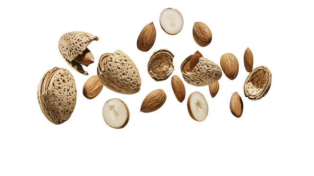 Whole and cracked almonds with shells and kernels