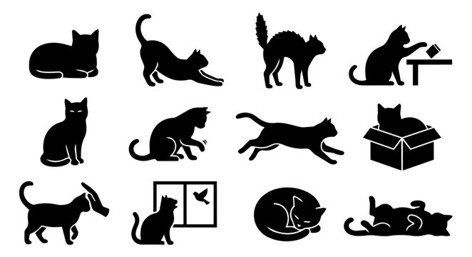 Cat Behavior and Feline Body Language Silhouette Icon Set with Loaf Stretch Zoomies and Cat Communication