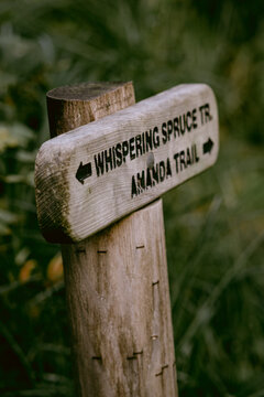 Wooden trail sign for Whispering Spruce Trail and Amanda Trail in a natural coastal forest setting in the Pacific Northwest