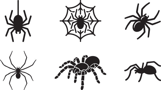 Black spiders and tarantula with spider web illustration set Vector