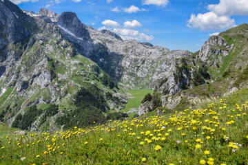 Fototapeta premium Summer Landscape of the Prokletije