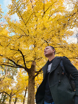 man in the autumn park under yellow tree