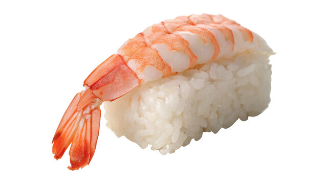 Single piece of traditional Japanese fresh shrimp ebi nigiri sushi isolated on transparent background cut out