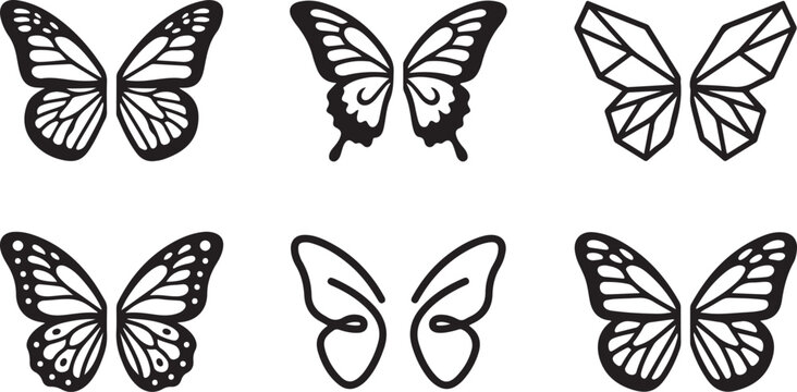 Black and white butterfly life cycle illustration set Vector