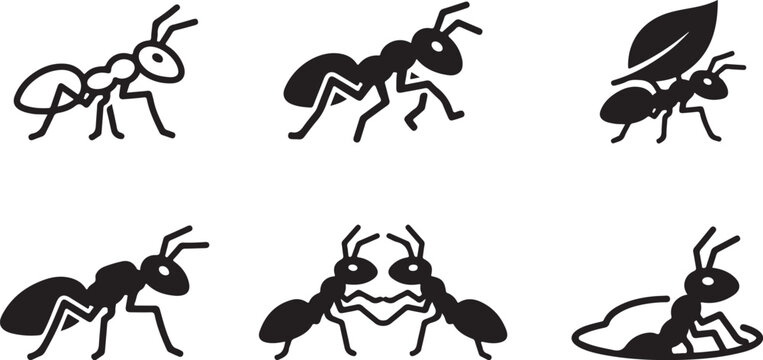 Black ants in various poses and activities illustration Vector