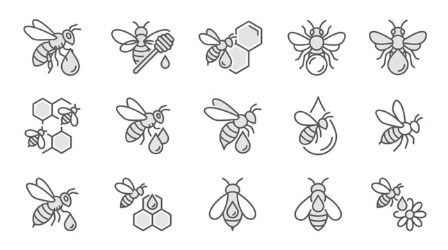 Minimalist honey bee and floral line art.