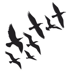 Fototapeta premium silhouettes of birds