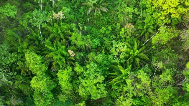 Fresh green moss and grass texture background with leafy herbs lettuce and parsley in a lush spring garden close-up nature foliage agriculture field concept