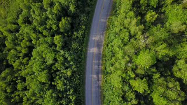 Green asphalt road through forest and city landscape with trees, grass, summer sky and clouds, blending urban and rural countryside nature travel path