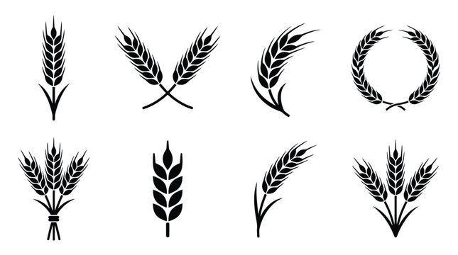 Wheat stalks and wreath black vector silhouettes on a white background