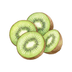 Fototapeta premium Watercolor illustration of fresh sliced kiwi fruits