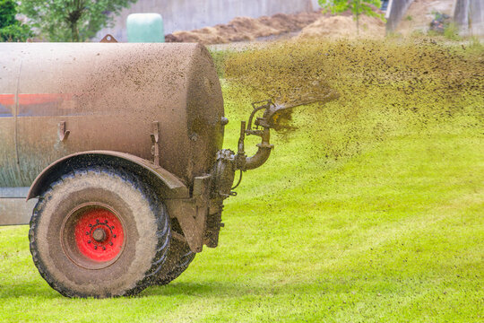 A Dutch farmer spreads manure on his grass fields