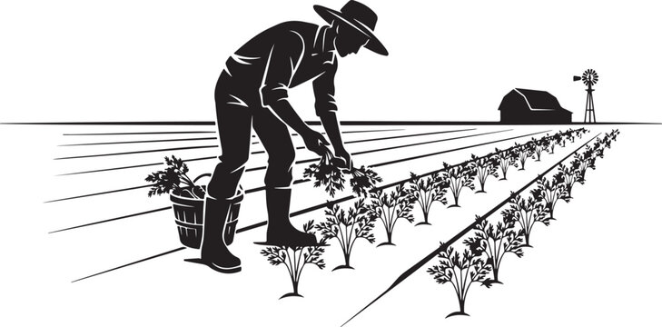Black and white of a farmer planting in a field agriculture d
