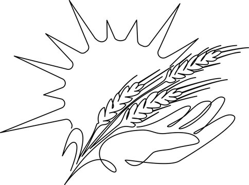 Agricultural logo design with sun stalk of wheat and hand. Harvest concept.