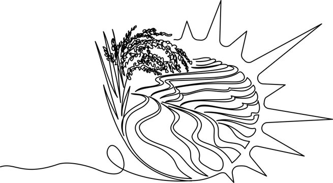 Agricultural logo design with sun, stalk of rice and rice fields. Harvest concept.