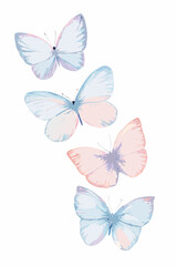 Pastel Watercolor Butterfly Collection Against A White Background butterflies lepidoptera © John Lee