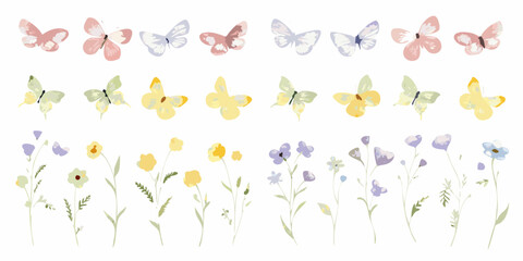 Watercolor Butterfly And Wildflower Arrangement On White Background butterflies lepidoptera © John Lee