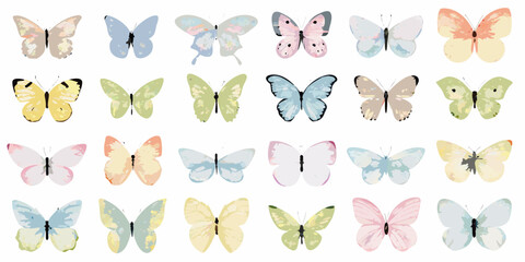 Watercolor Pastel Butterfly Collection On White Background butterflies lepidoptera insect © John Lee