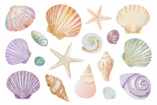 Watercolor seashell collection with starfish and spiral shells isolated on white