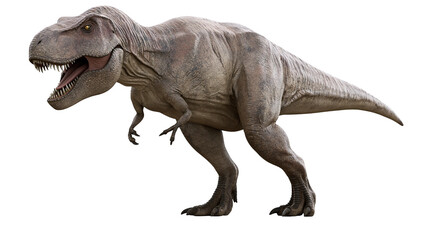 Fototapeta premium Tyrannosaurus Rex dinosaur roaring with mouth open