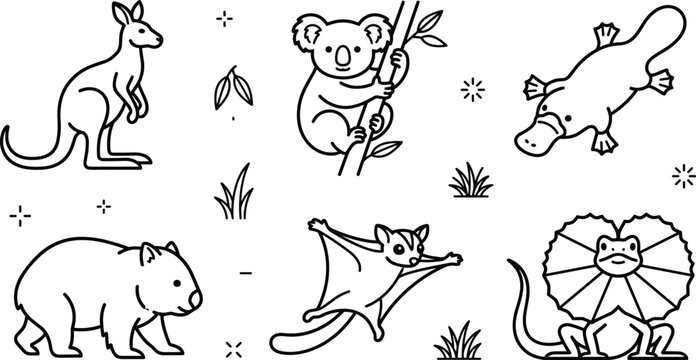 Australian wildlife coloring page collection featuring kangaroo koala platypus wombat flying squirrel and frilled lizard outline vector set