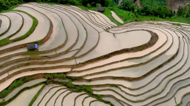 Aerial View of Hoang Su Phi Terraced Rice Fields During Water Season, Tuyen Quang, Vietnam